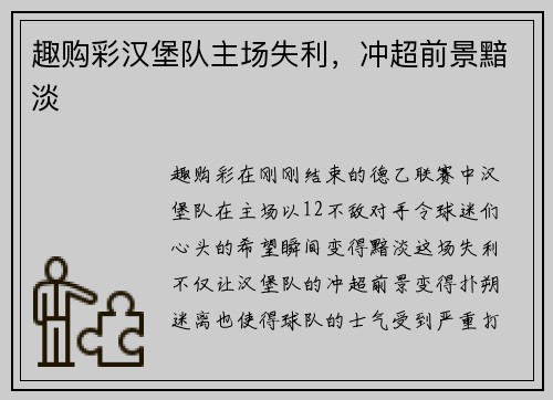 趣购彩汉堡队主场失利，冲超前景黯淡